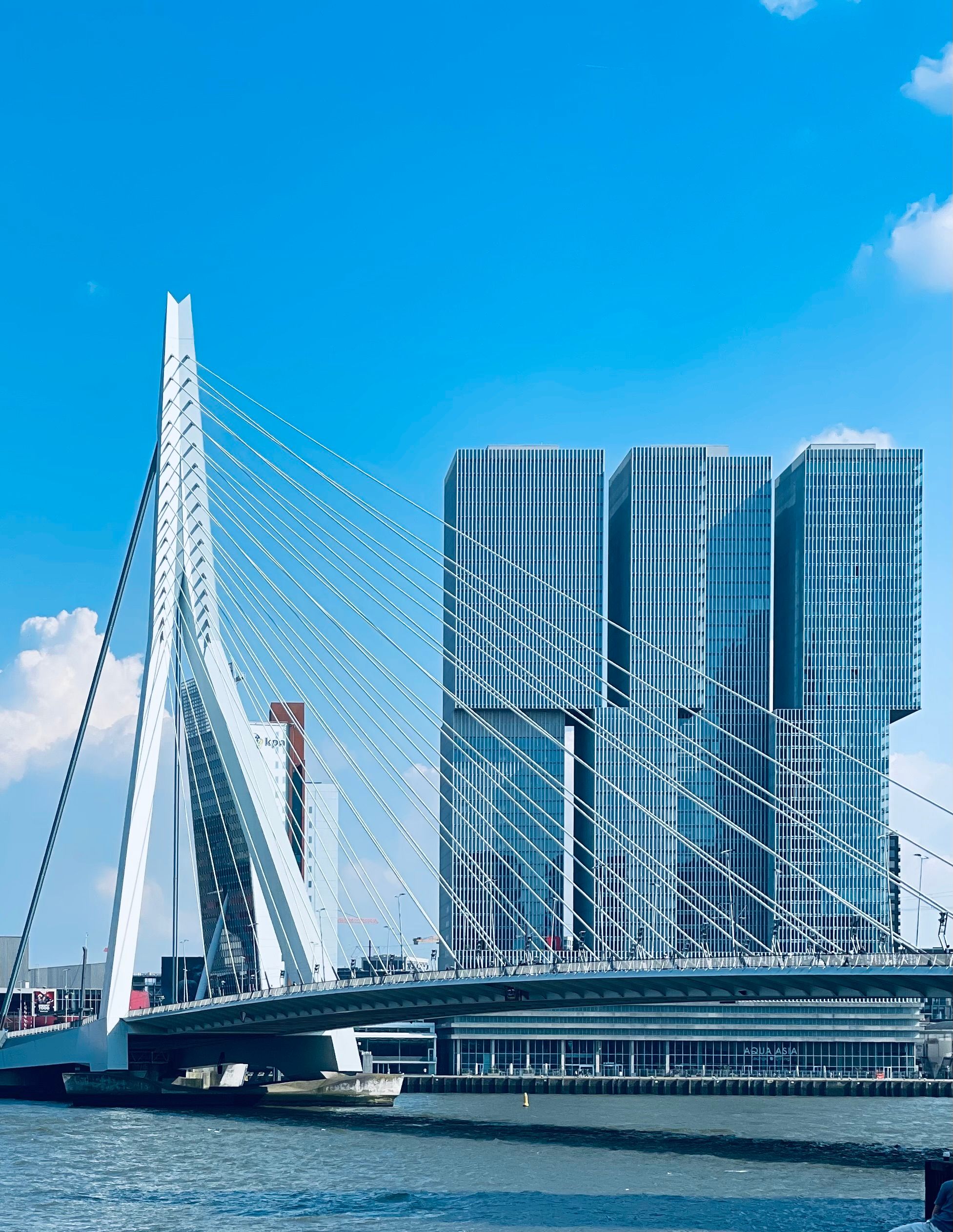 The Erasmusbrug cable-stayed bridge in Rotterdam against a clear blue sky, with the De Rotterdam towers behind it